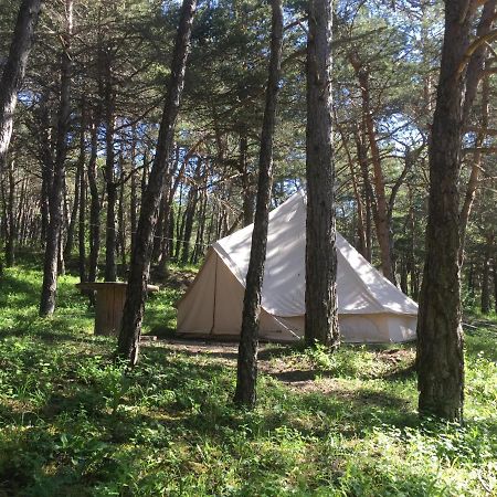 Hôtel Camping La Chabannerie à Saint-Martin-de-Clelles Extérieur photo