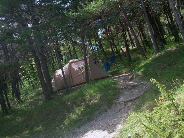 Hôtel Camping La Chabannerie à Saint-Martin-de-Clelles Extérieur photo
