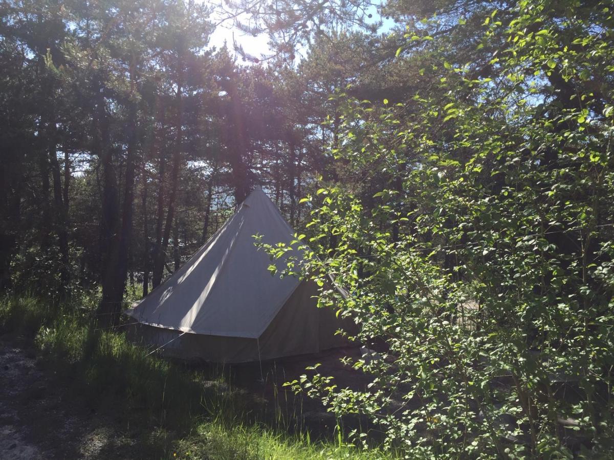 Hôtel Camping La Chabannerie à Saint-Martin-de-Clelles Extérieur photo
